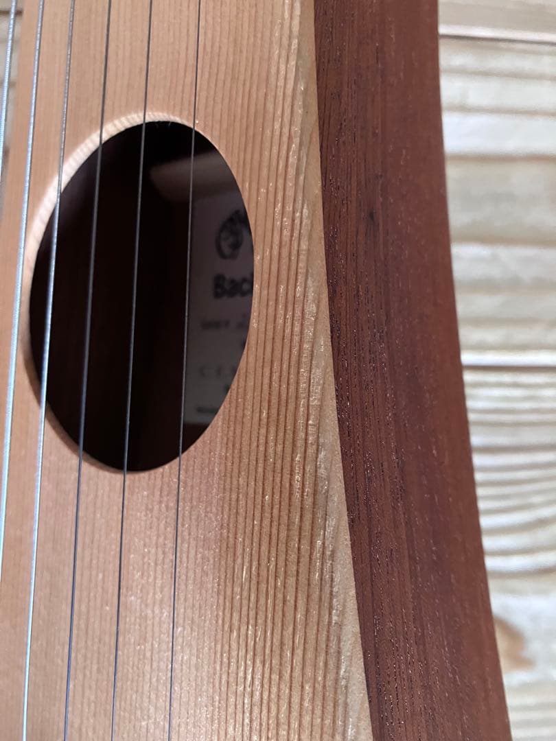 マーチン　バックパッカー　トラベルギター