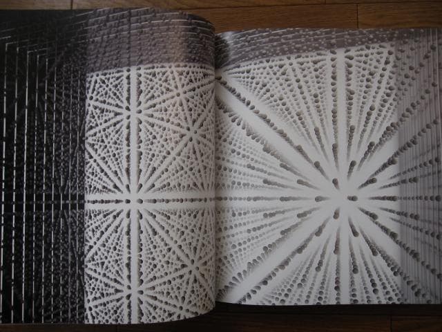 SYNTHESIS　シンセシス　名和晃平　Kohei Nawa