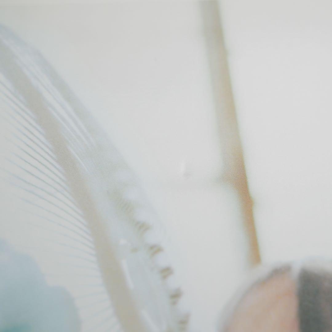 Haru and Mina 濱田英明　写真集