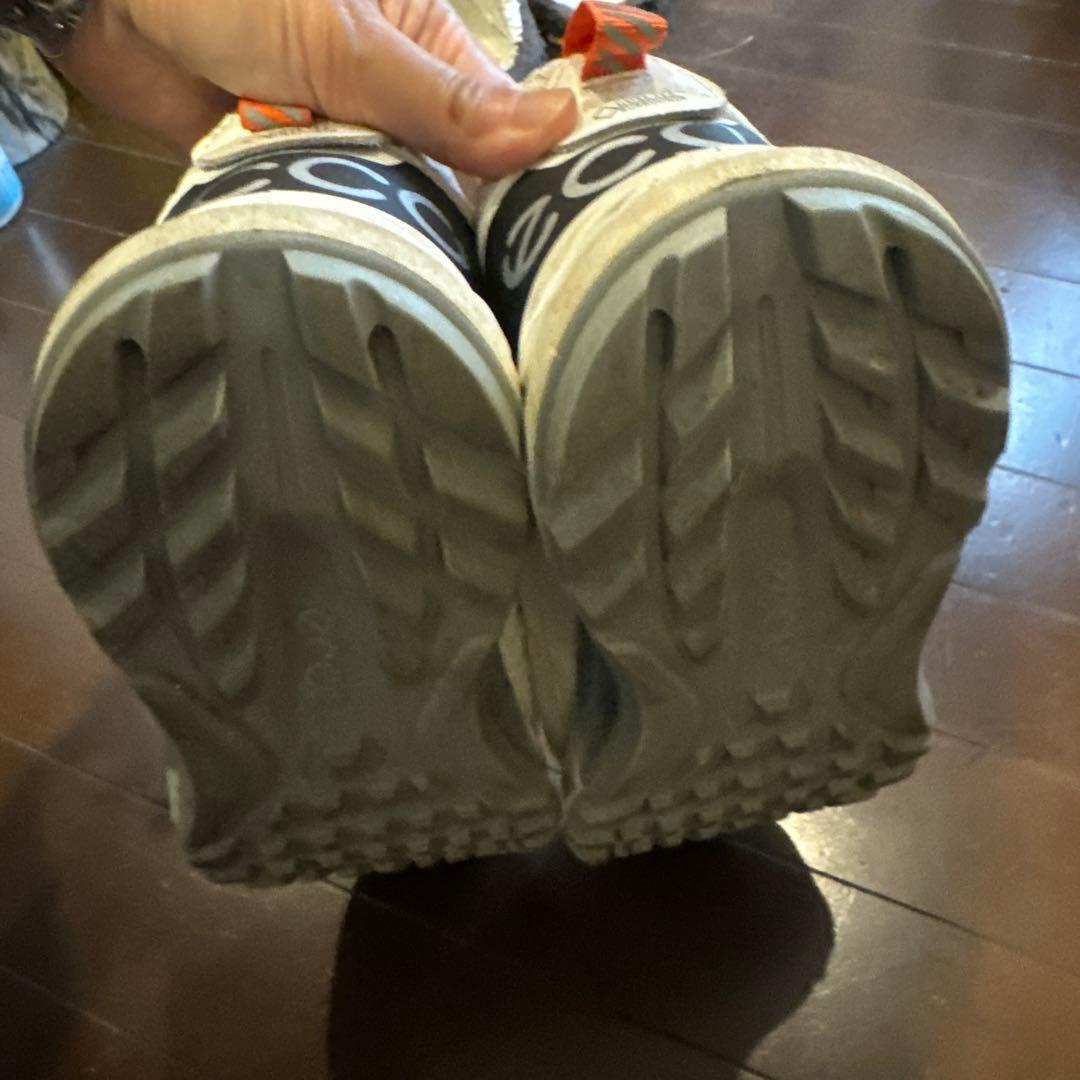 ecco エコー ゴルフシューズ 27センチ　BIOM C4 BOA