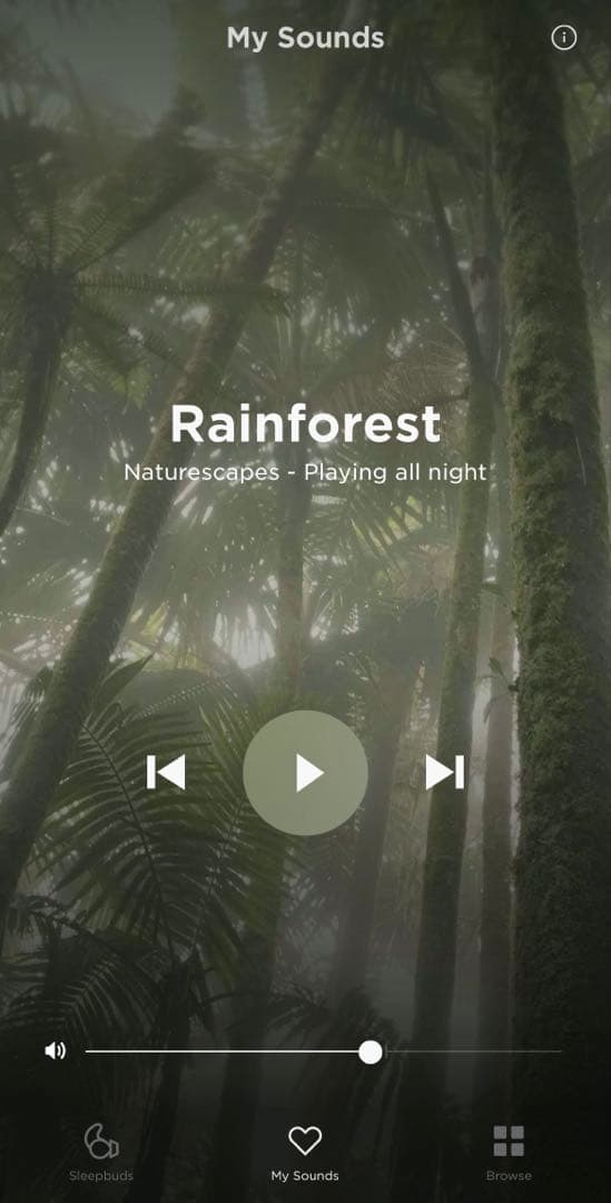 【未使用】Bose Sleepbuds II