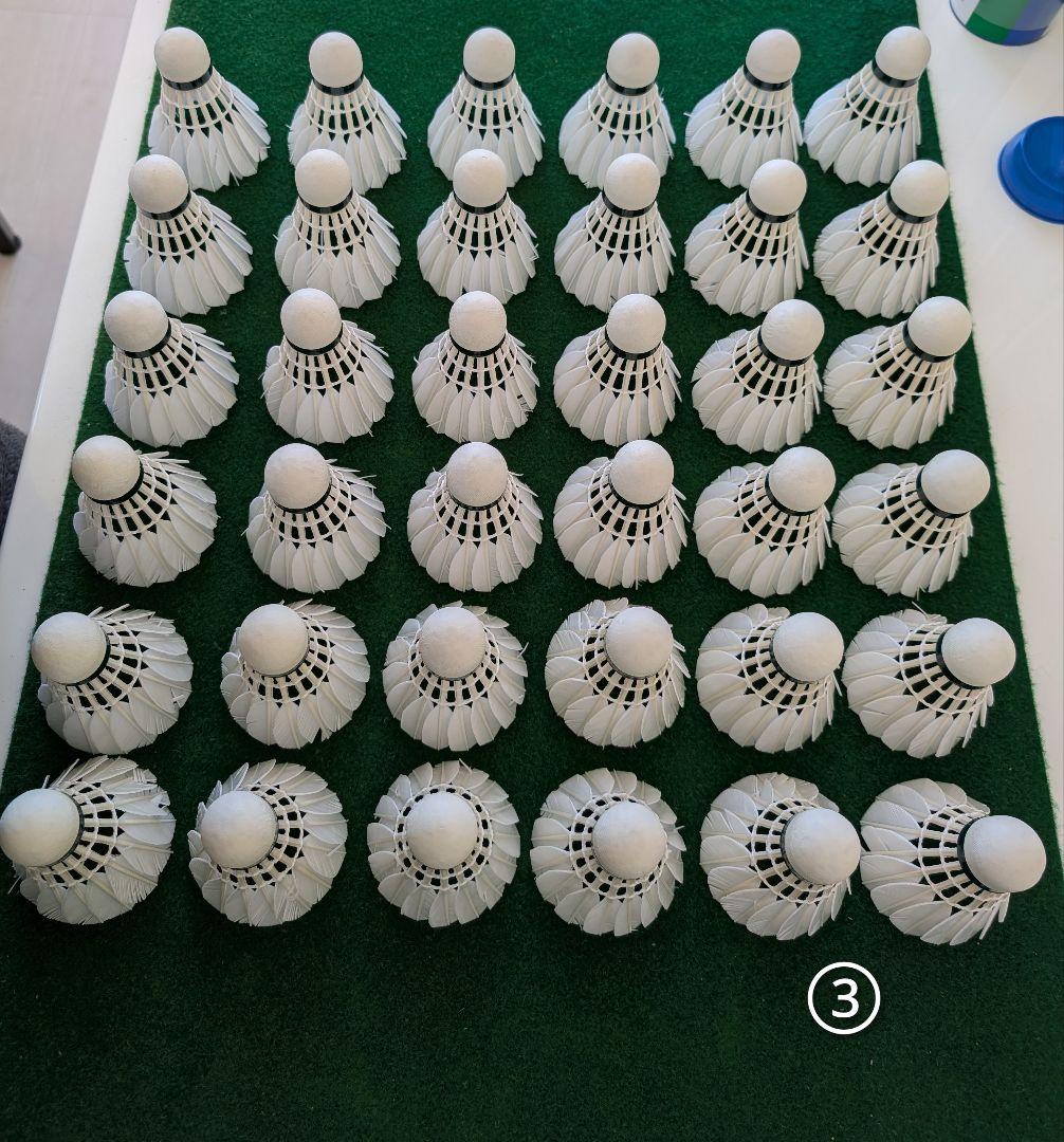 NEW OFFICIAL F4 10ダース