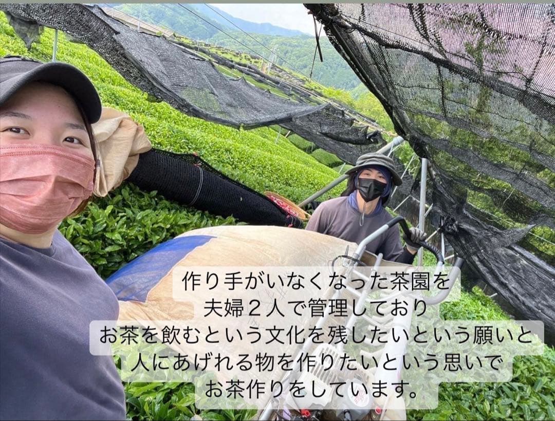 【農薬不使用】日本茶8種類飲み比べセット各(3個入り×8種類)
