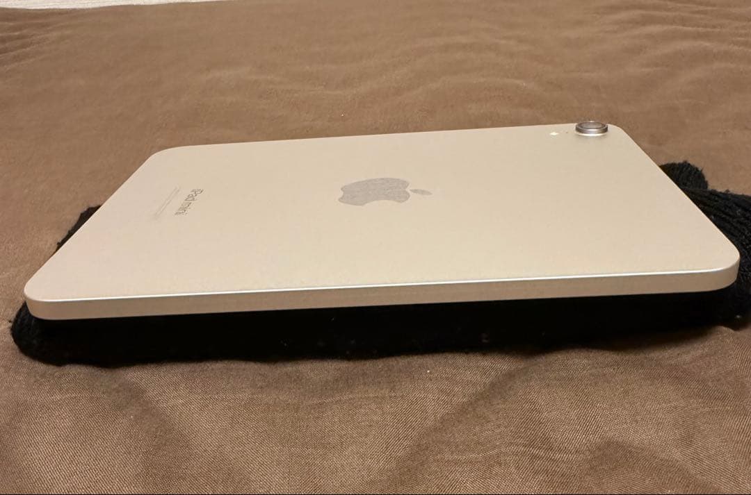 iPad本体 ipadminiA17pro256GB(wifi)+ApplePencilPro