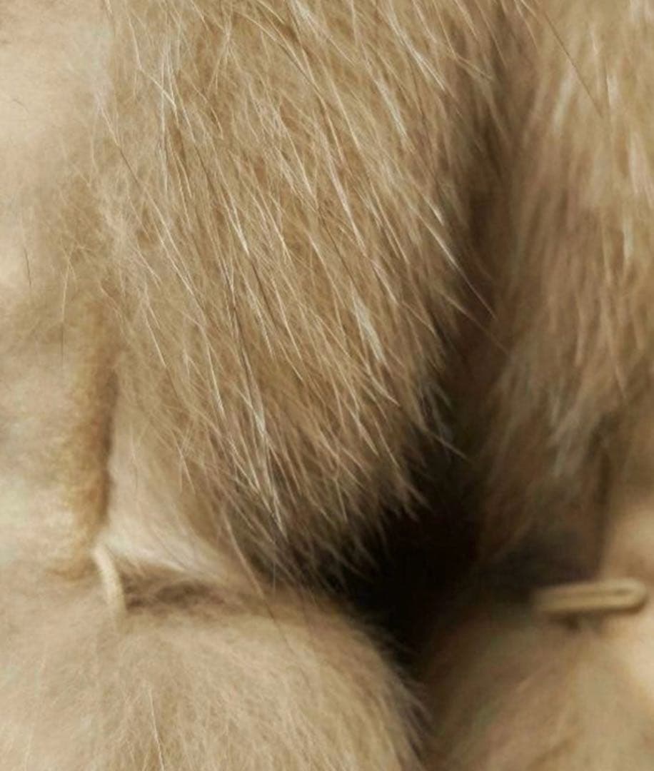 Xmasに！！SAGAフォックスファー M カシミア100% お値下げどうぞ〜