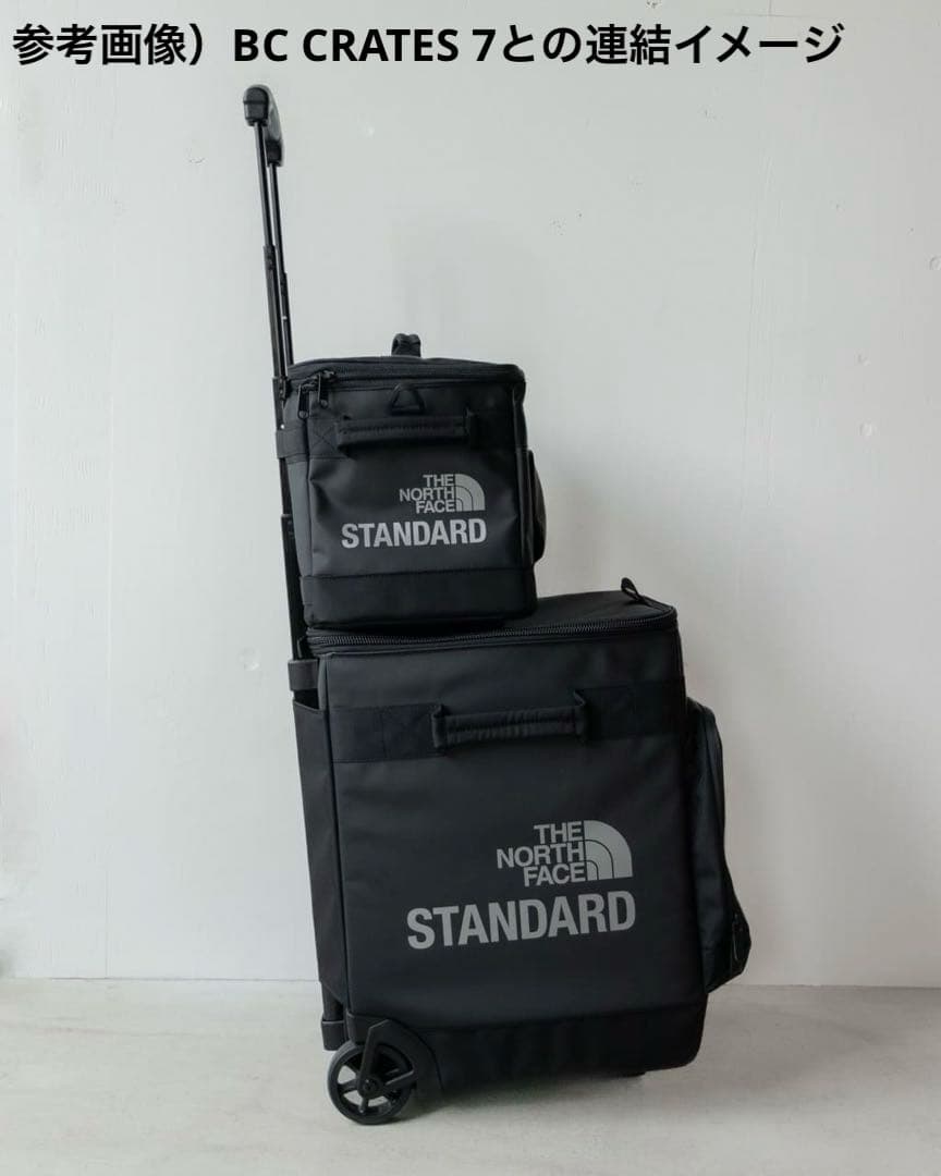 【限定】TNF STANDARD 12インチ用レコードバッグ