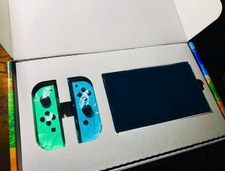 あつまれどうぶつの森 セット Nintendo Switch 本体