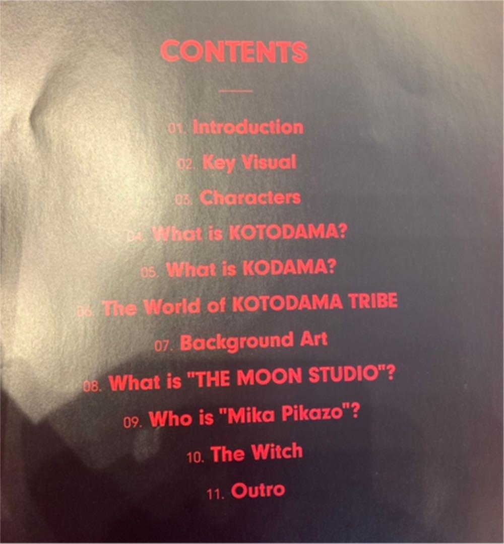 た*や様 【超希少】KOTODAMA TRIBE ver 0.5 パンフレット【