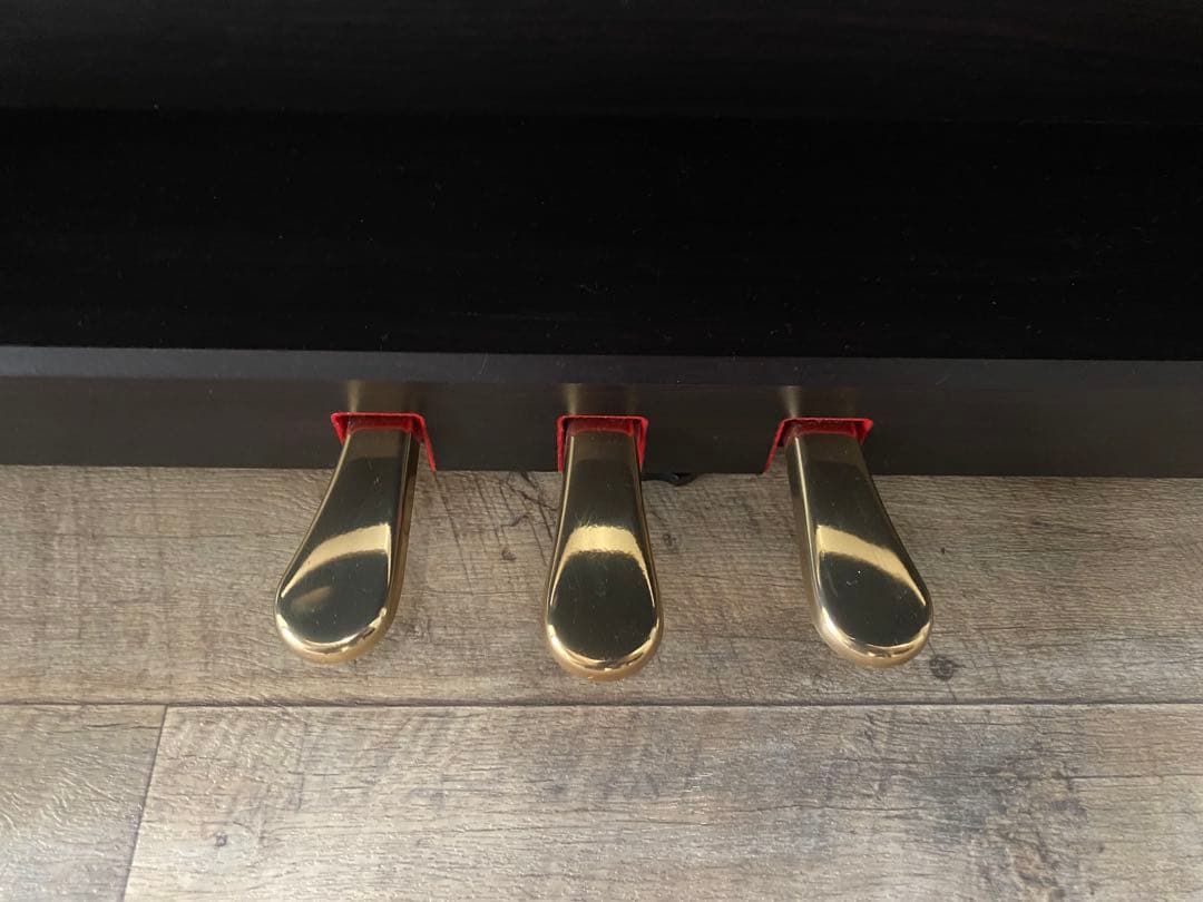 【sg様直接引取り専用】電子ピアノ　KAWAIの定番！人気モデル！CN29