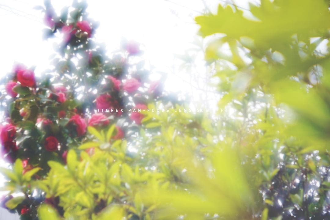 ★激レア★イトレックス PAN-FOCUS LENS 50mm Exakta