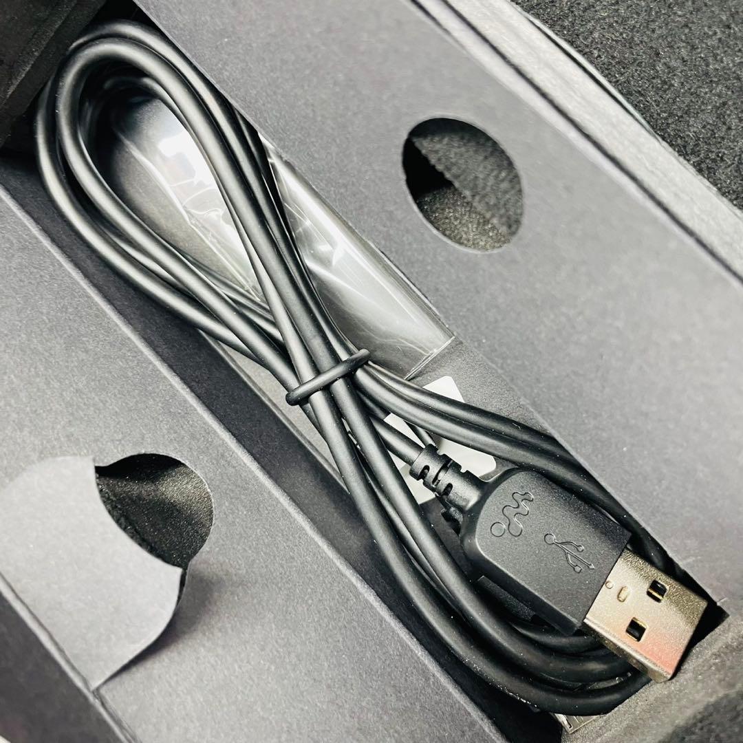 Sony Walkman NW-ZX300G 箱付属品有り 動作確認済み