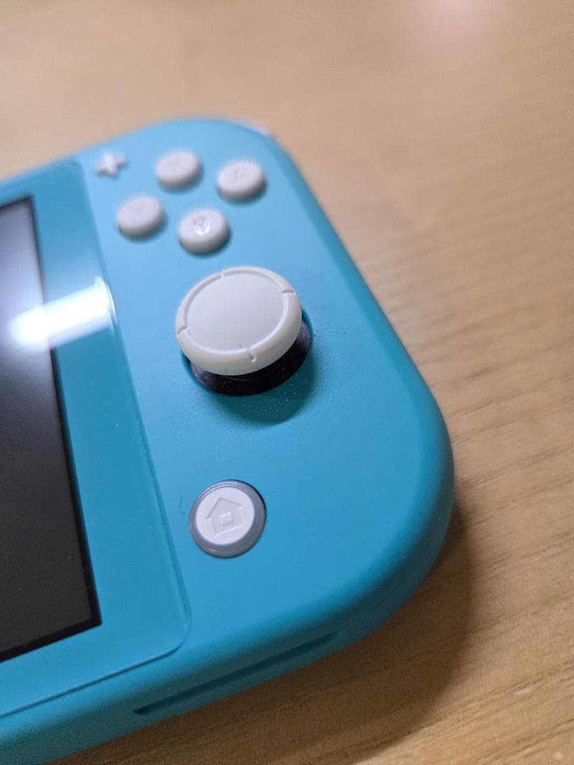 Nintendo Switch Lite ターコイズ microSDとカバー付