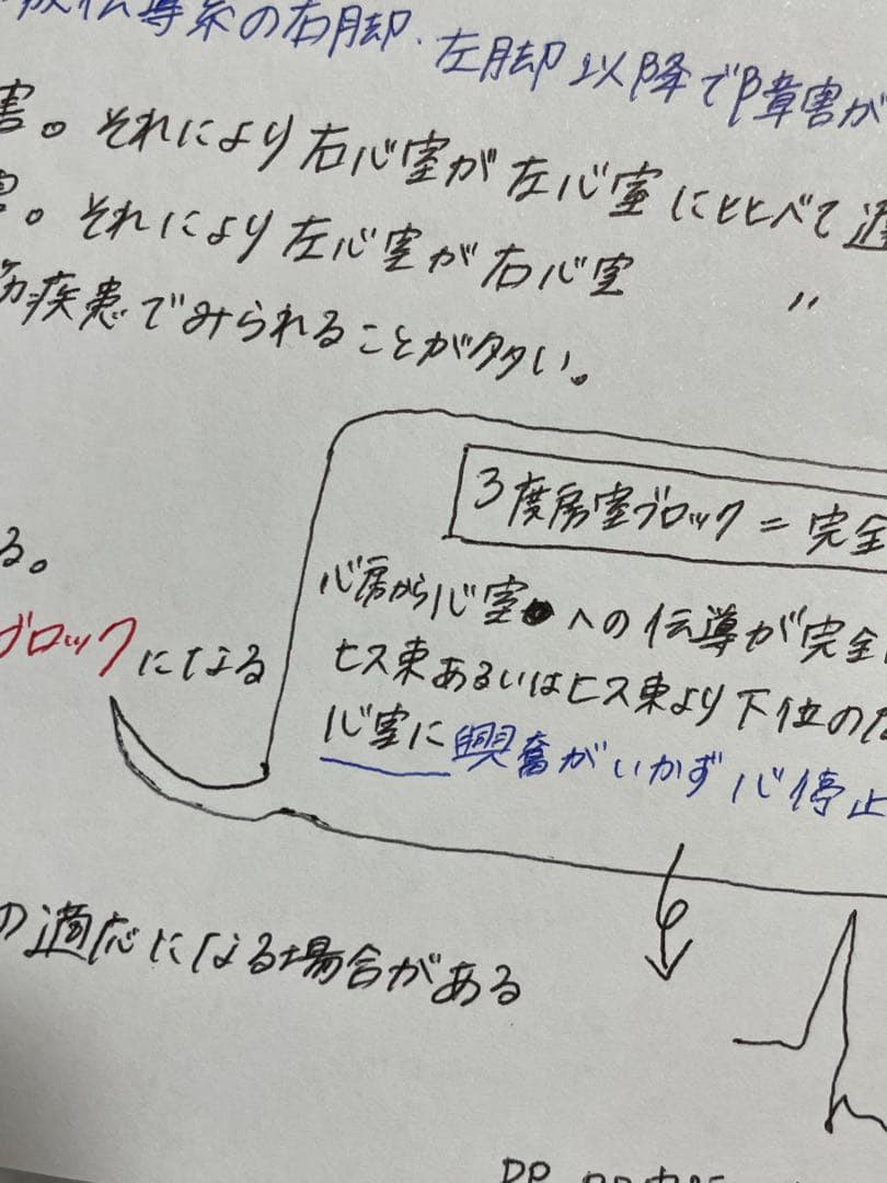 【セット割引！】循環器疾患をわかりやすく解説！　看護師国家試験対策　実習　必修