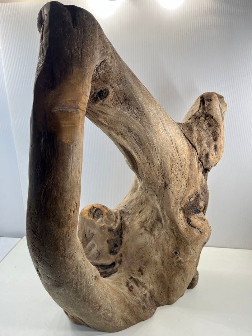 m10特大流木 アク抜き済み 爬虫類シェルター 登り木 インテリア オブジェ