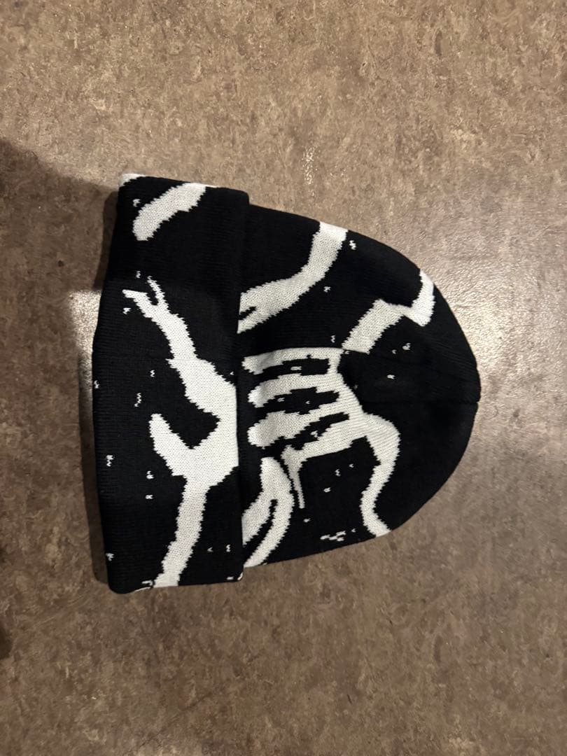 本*う様 Arc’teryxビーニー