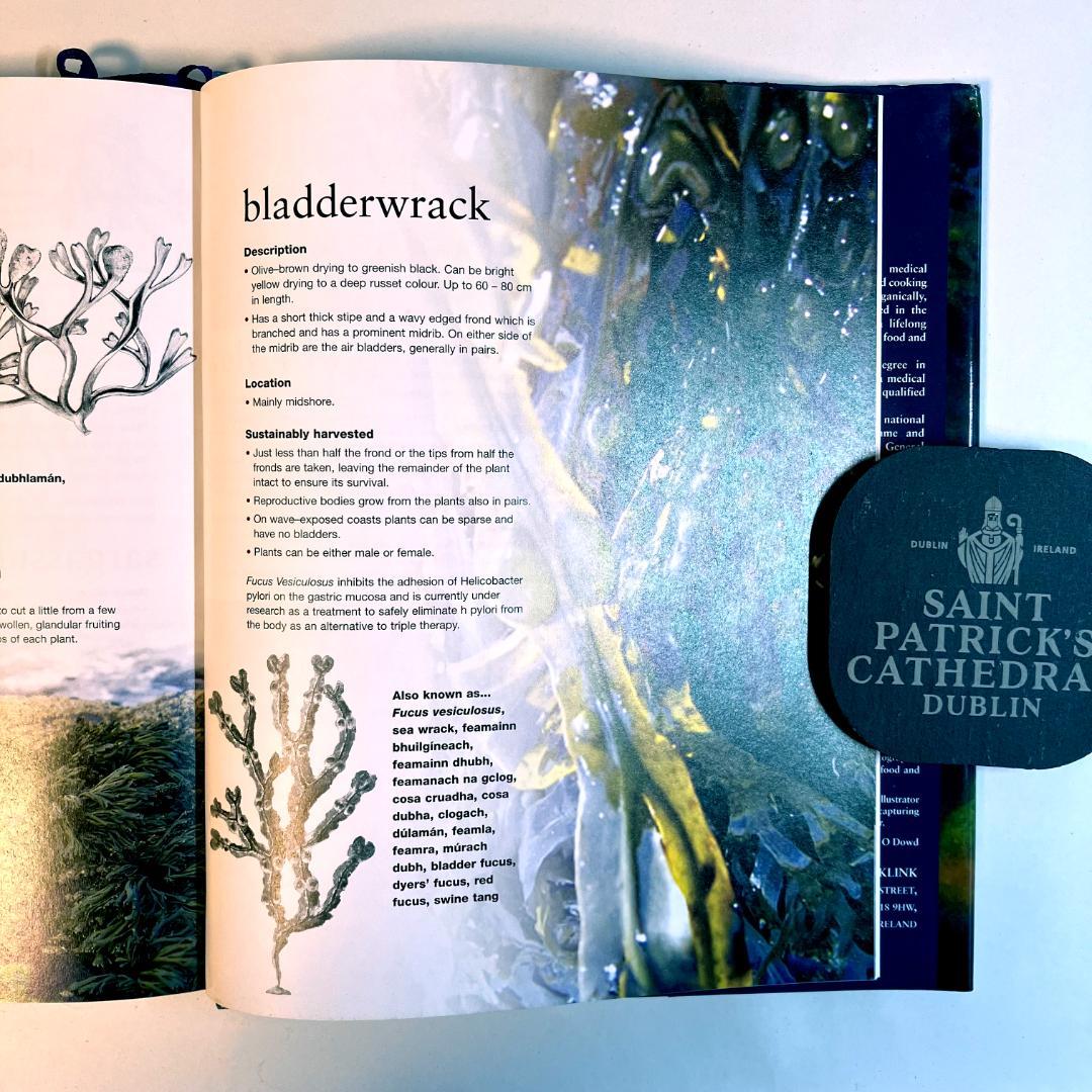 洋書 Irish Seaweed Kitchen / Prannie Rhatigan