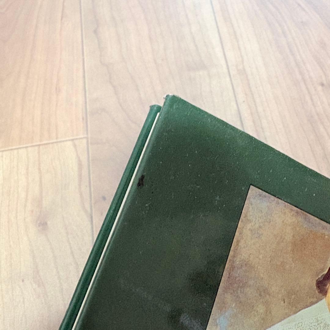 【洋書】Lace in Fashion by Pat Earnshaw