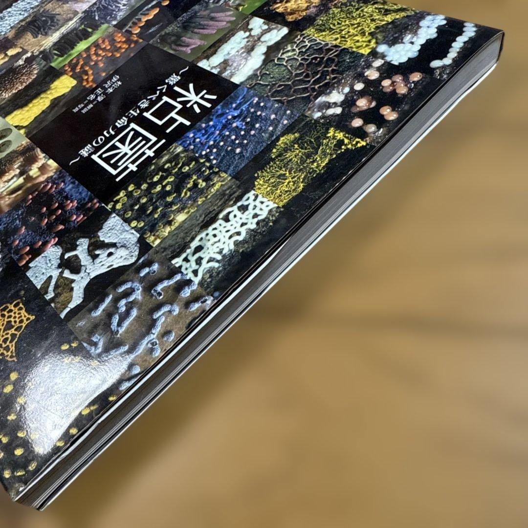 粘菌 : 驚くべき生命力の謎