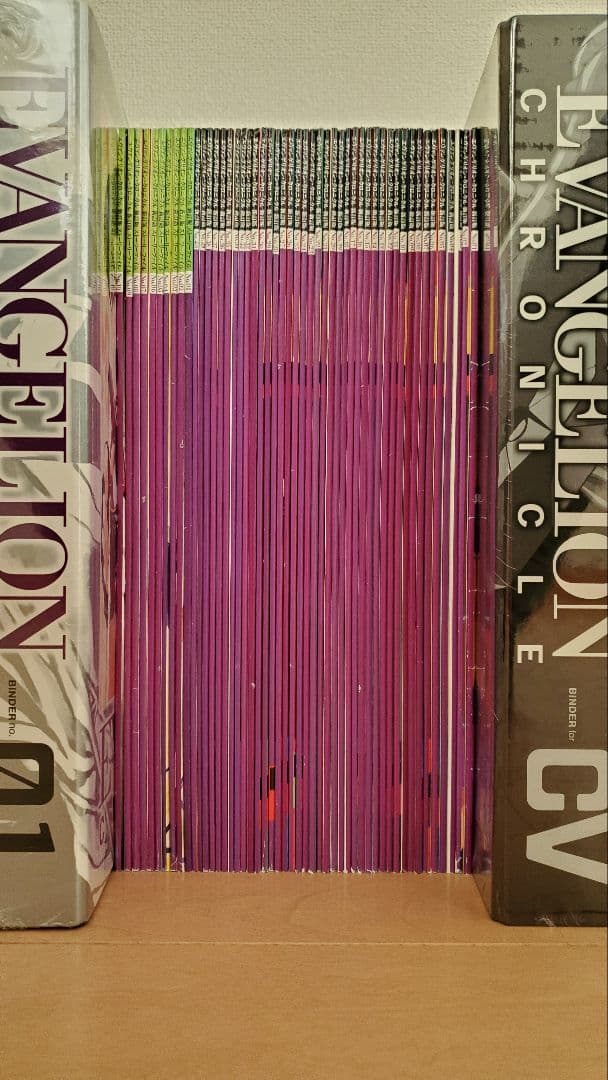 エヴァンゲリオンクロニクル 新訂版全巻セット　専用バインダー付き