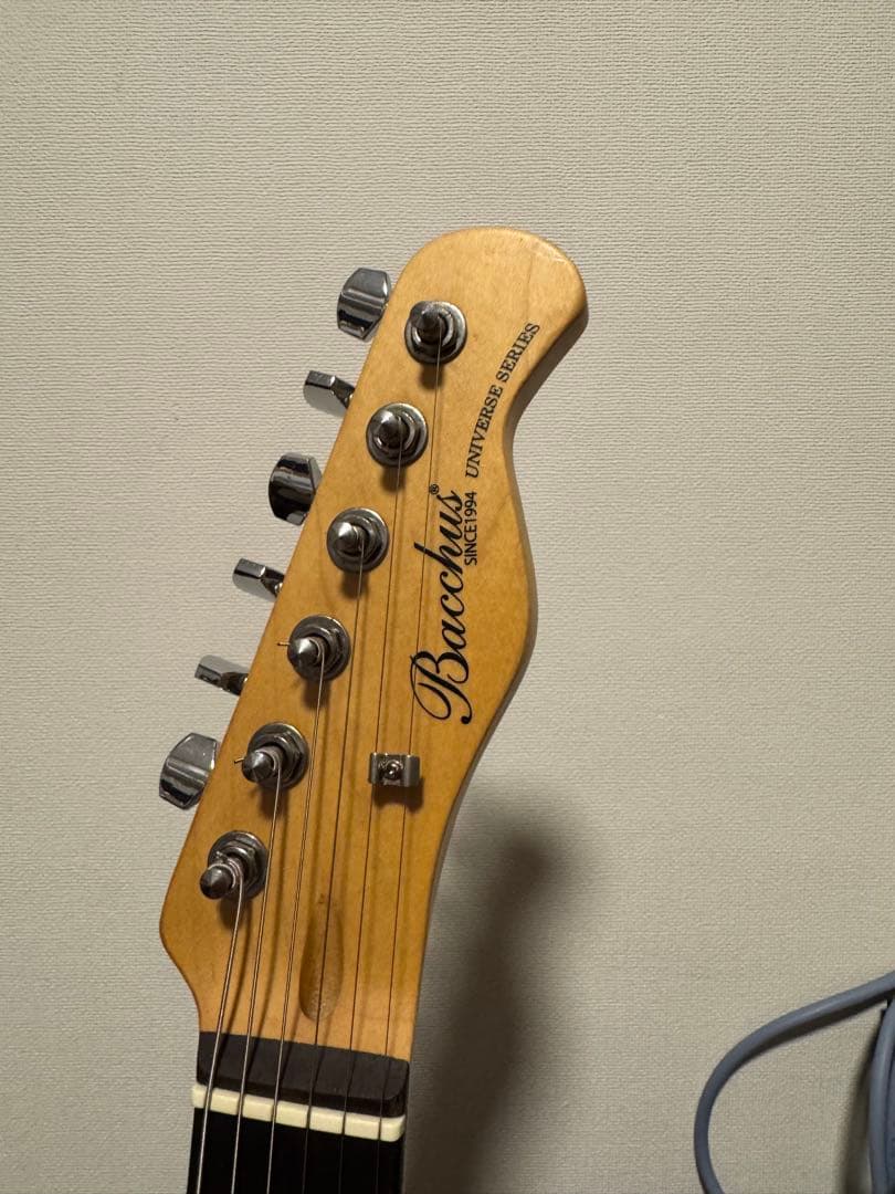 Bacchus テレキャスター カスタム