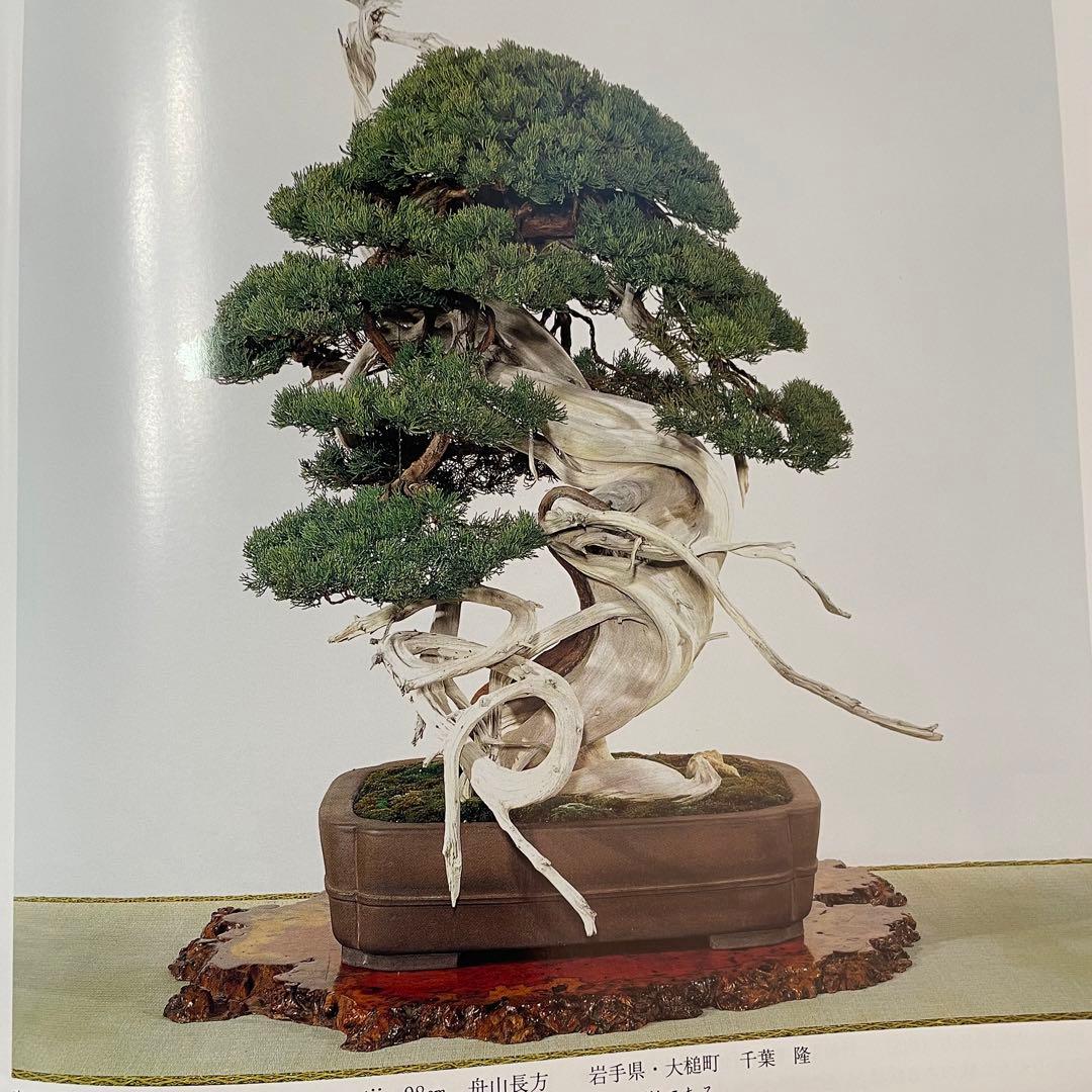 花梨玉杢 葡萄杢 天然木花台 飾り台 盆栽台 時代古木 花梨 玉杢瘤