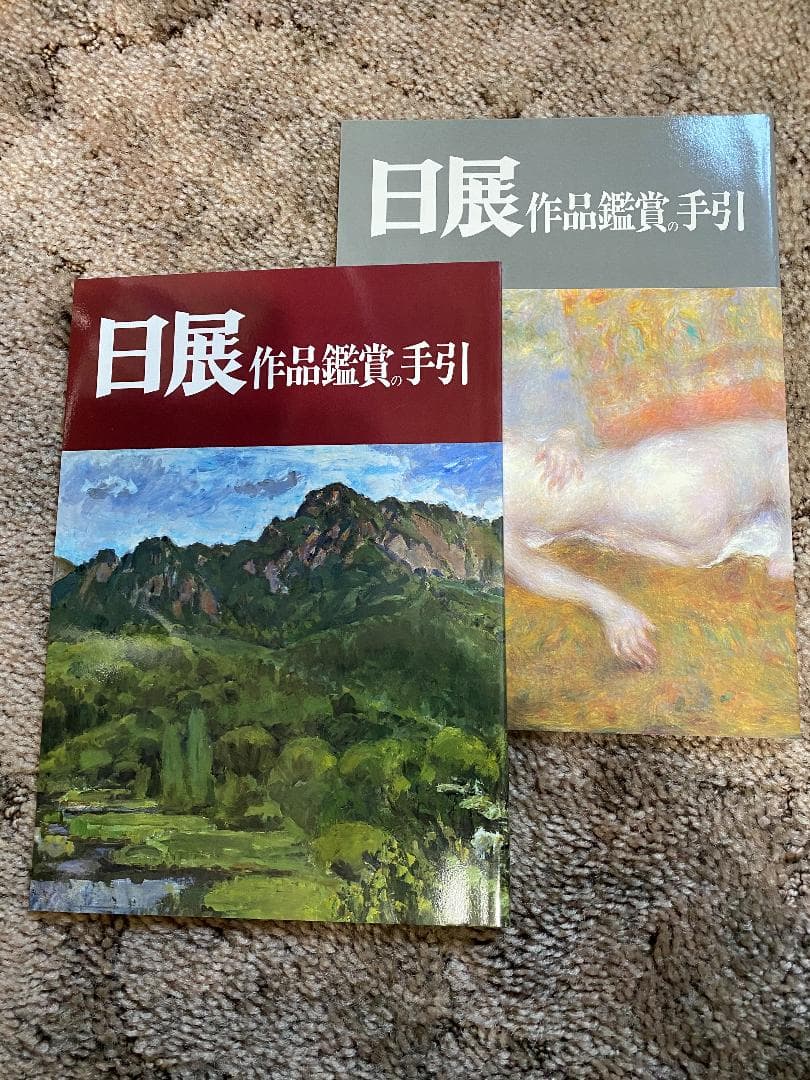 日展作品集38冊、日展アートガイド5冊、日展作品鑑賞の手引き2冊
