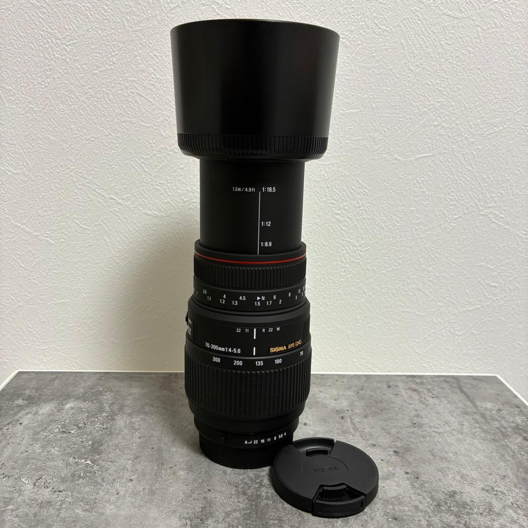 ⭐️美品⭐️SIGMA APO DG 70-300mm f4-5.6 PENTAX用