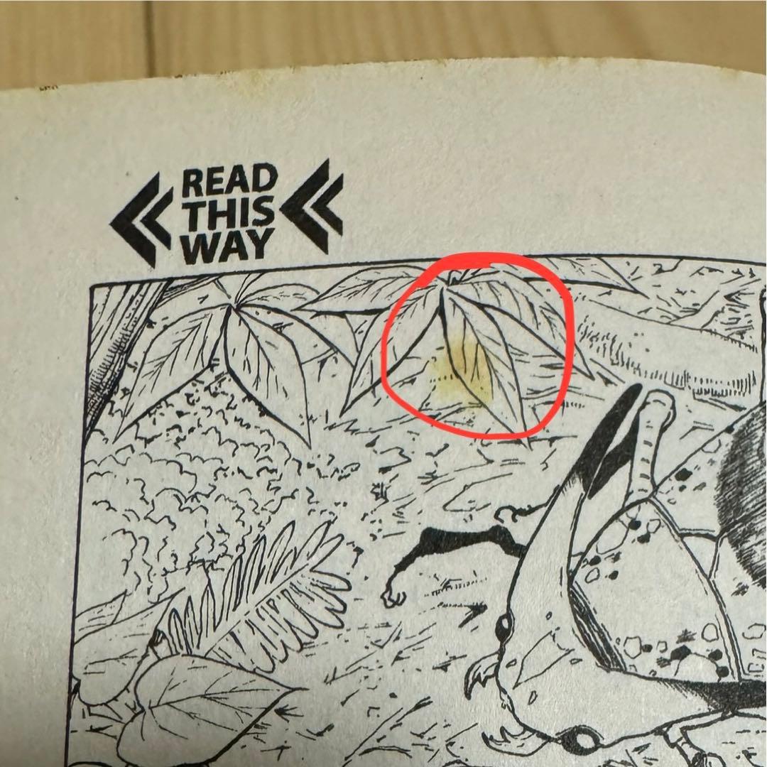 Hunter x Hunter 英語版　漫画　English Manga