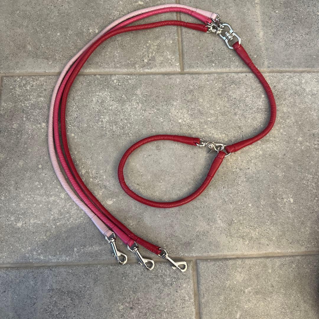 リード3点（赤、青、オレンジ）、TORACリード1点