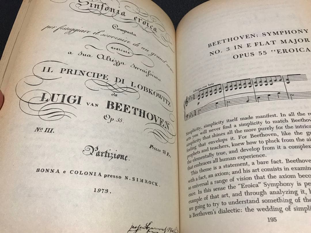 洋書LEONARD BERNSTEIN THE INFINITE VARIETY