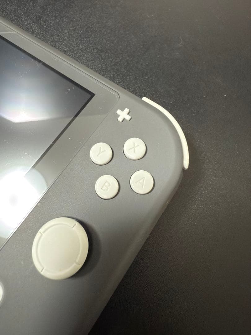 Nintendo Switch Lite 本体+ケース+充電器