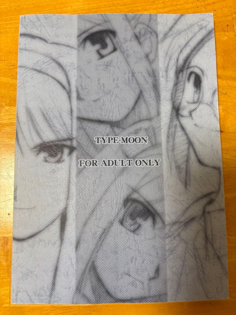 【レア】月姫 設定集 （青本・月姫読本・character material）