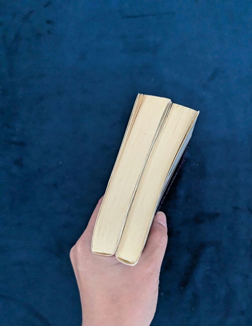 オルトロスの犬 DVD-BOX初回生産限定版＆ノベライズ本セット☆