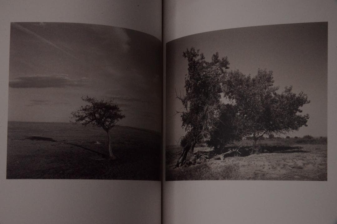 As the Crow Flies:Terri Weifenbac★値下げました