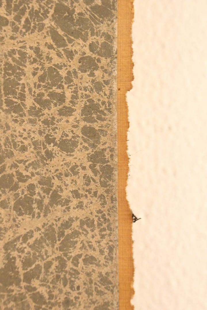 No5064 掛軸　五日市玉東　山水画賛　紙本　南画　日本画　古美術　送料無料