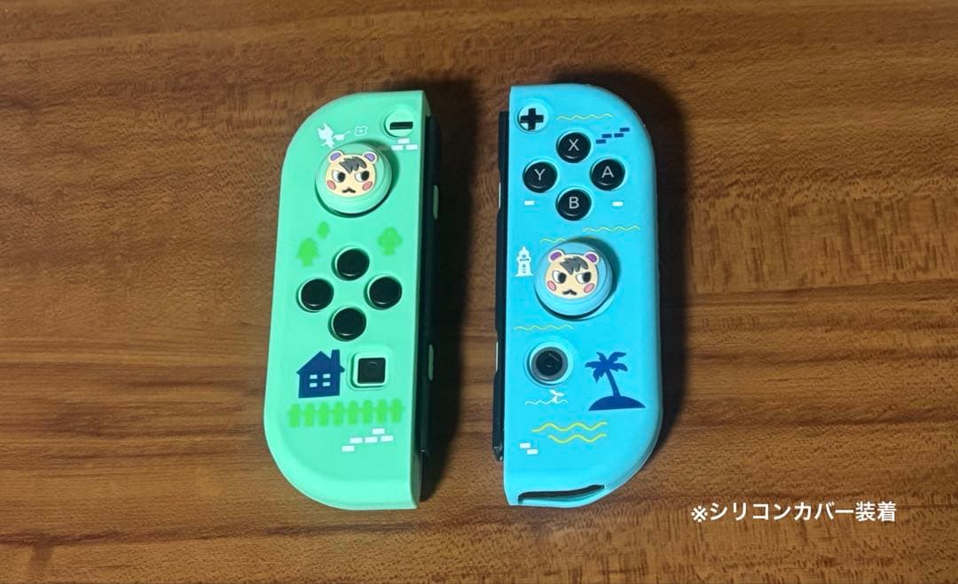 Nintendo Switch あつまれどうぶつの森 本体 セット