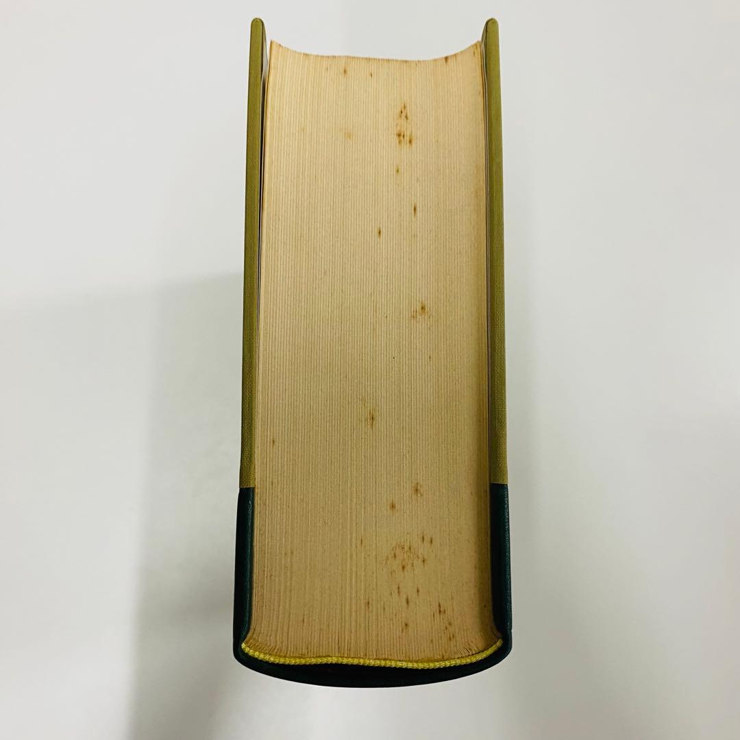 希少　ギリシャ語辞典 古川晴風 編