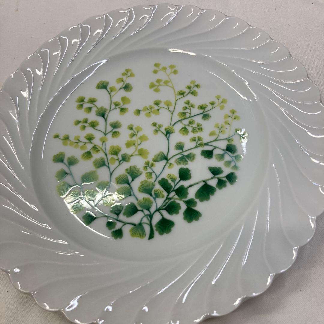 Haviland 食器セット 5枚 植物模様