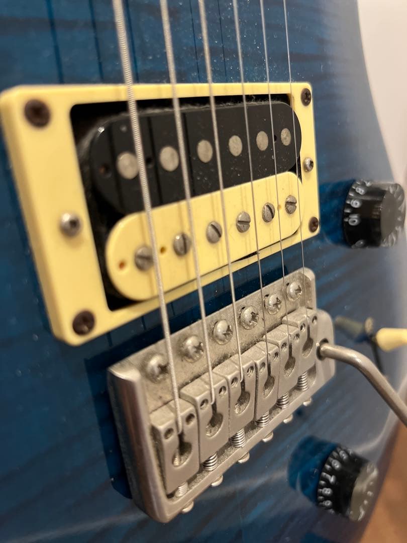 ギター PRS SE CUSTOM24 Whale Blue