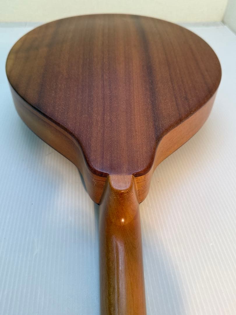 フラットマンドリンBeanBlossom By Morgan Monroe