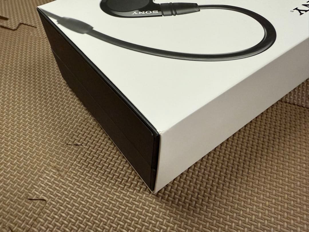 イヤホン SONY IER-M7