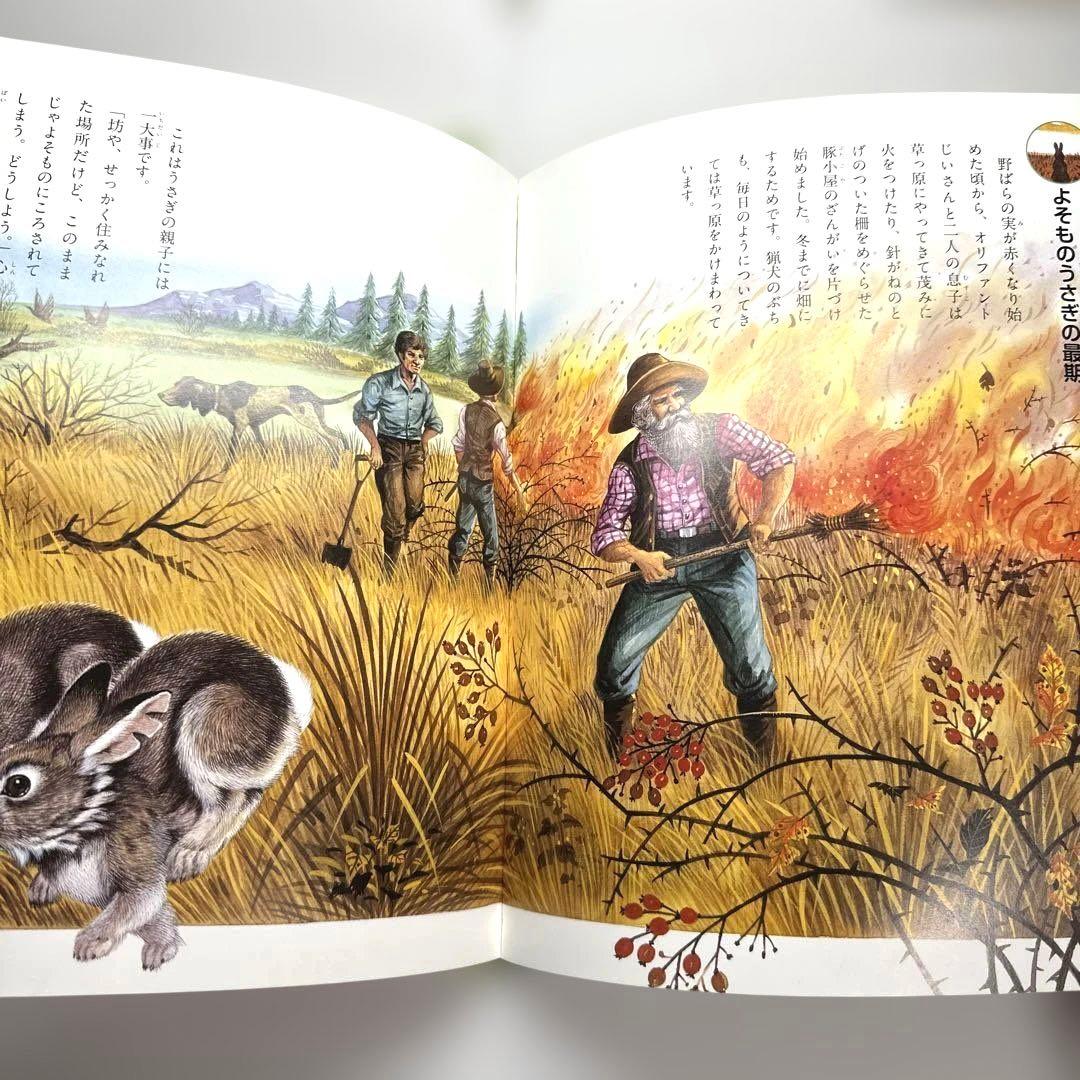 【2点購入150円引】ぎざ耳うさぎの冒険 : シートン動物記