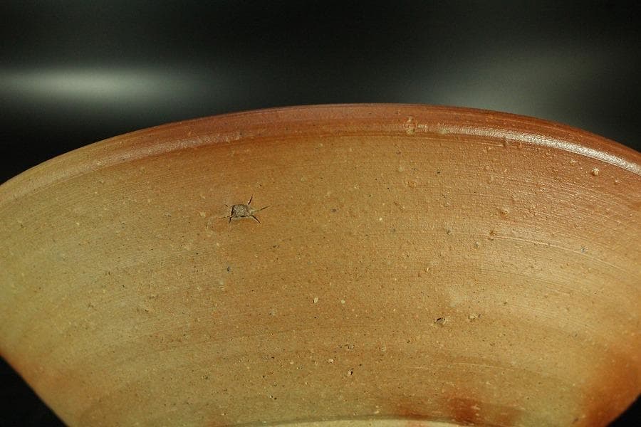 古美術 金重陶陽作 備前 皿 共箱 美品(K-YC568)