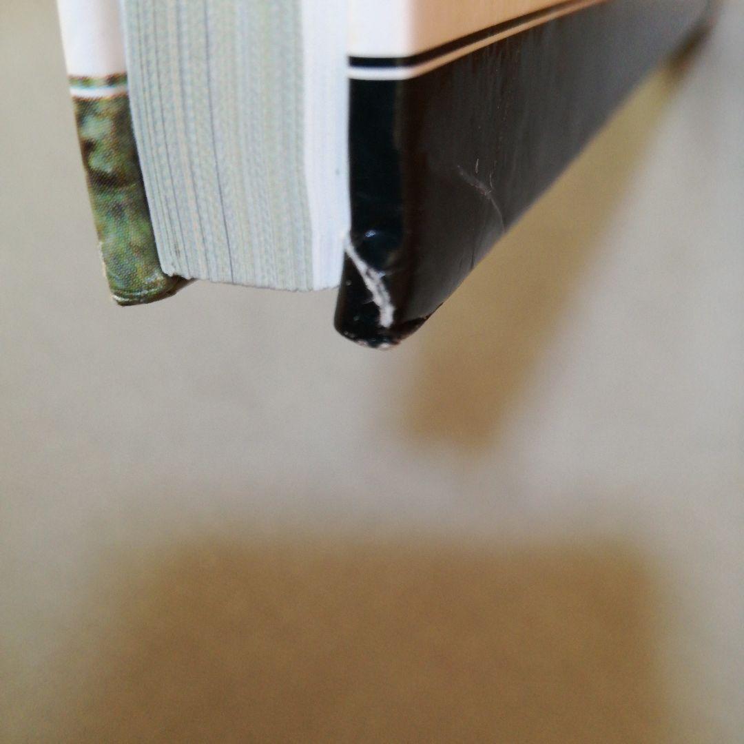 洋書 Hungarian Fighter Colours 1930-1945vol.2