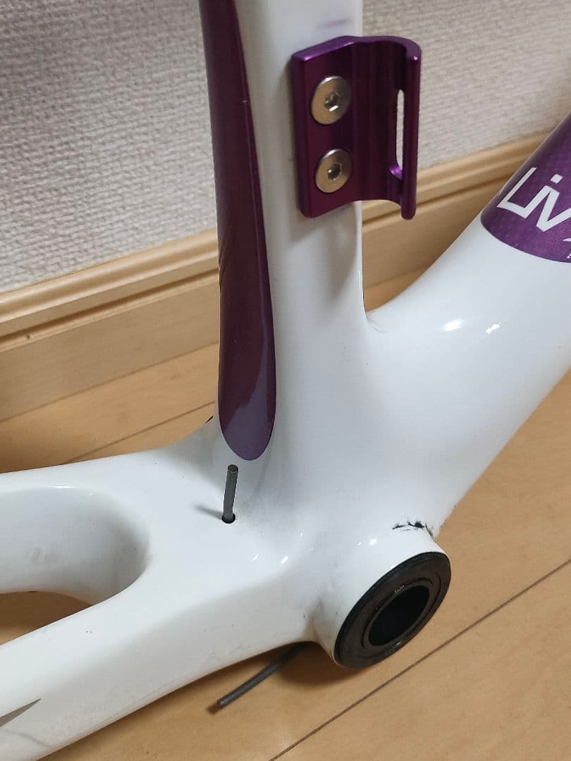 s*r様 GIANT Liv フルカーボン ロードバイク フレーム xxs 女性