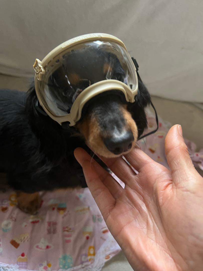 KILONINER 本格派犬用ゴーグル 付け外し可能なサングラス付き UVカット