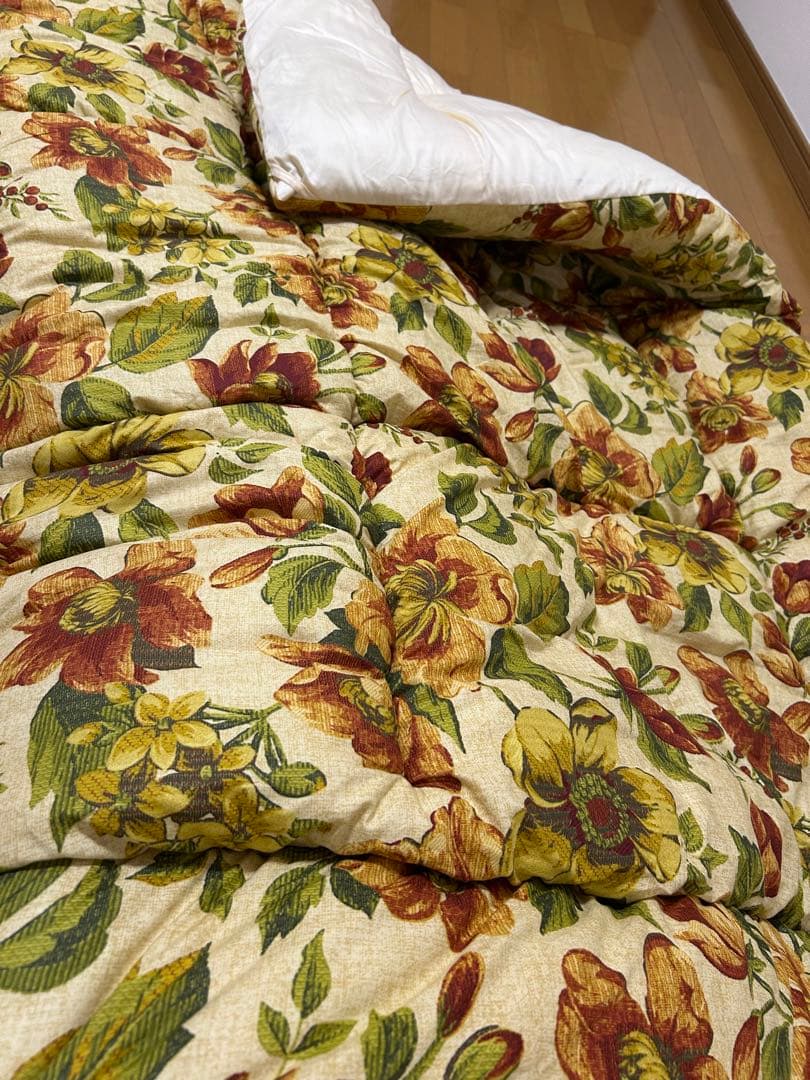 あんかけ丼　　シング1.7kg 2枚