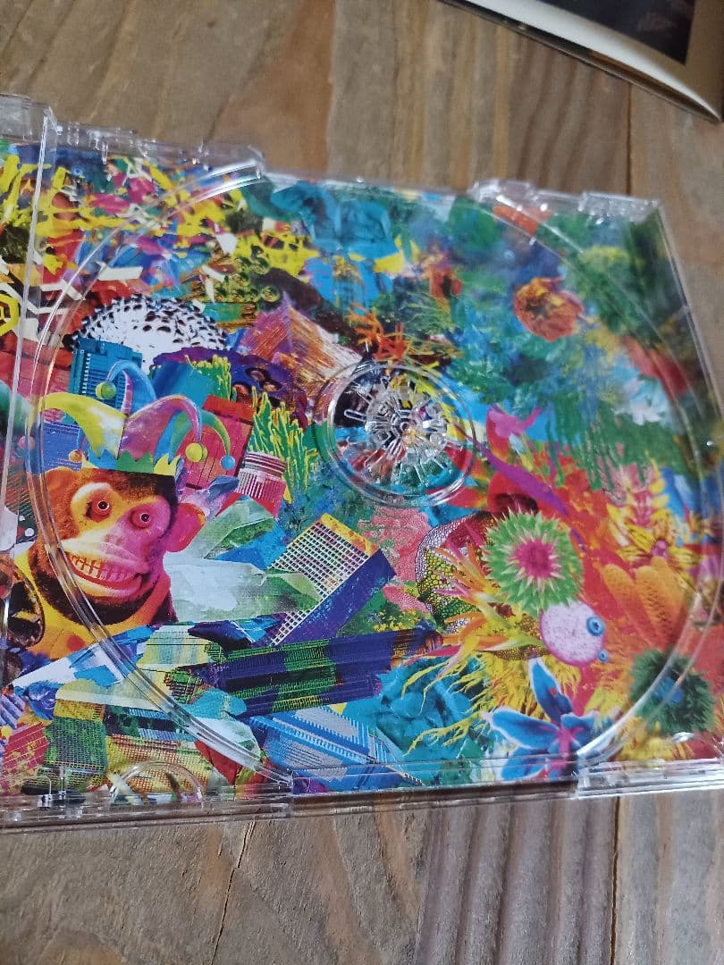 THE YELLOW MONKEY 　激レア　会員限定購入特典DVD