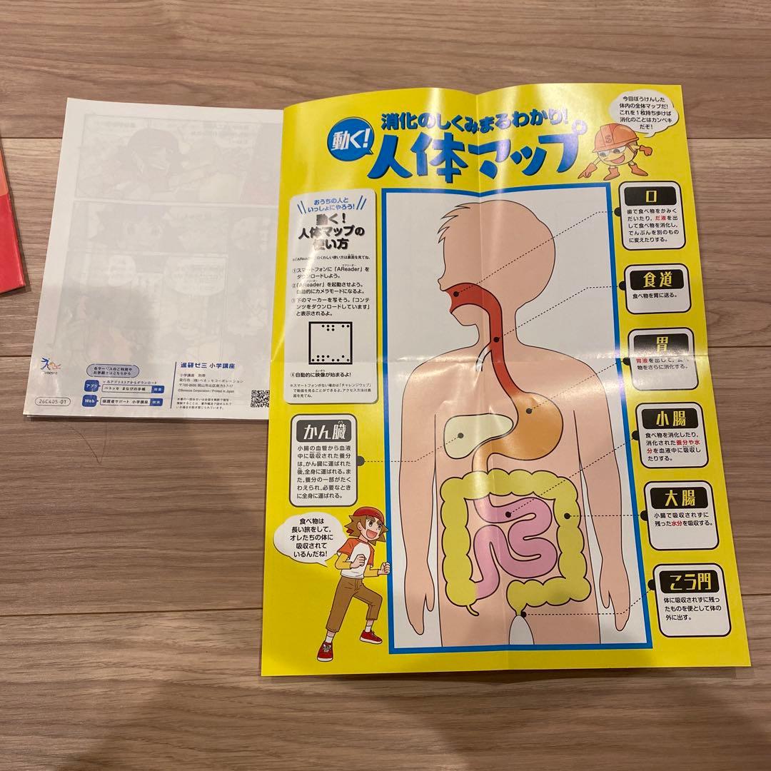【ほぼ未使用‼︎‼︎ 】チャレンジ6年生➕中学準備号　1年分　進研ゼミ