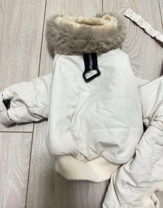 USHH イタグレスノースーツ